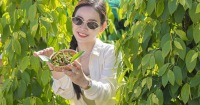 富國胡椒園全日本地村莊探索之旅