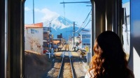 富士山山梨水果採摘，河口湖網紅觀光電車，大石公園一日遊