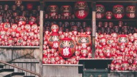 贈送抹茶體驗！勝尾寺+嵐山+清水寺（難波/大阪出發）