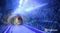 麗水水族館（海洋星城）門票大小同價