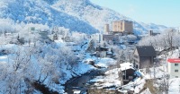 札幌摩艾石像及白色戀人公園建築全日遊