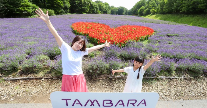 東京出發｜玉原薰衣草公園 × 迦葉山龍華院彌勒寺 × 原田農園水果採摘