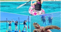 宮古島 海龜浮潛＆海灘SUP立槳或獨木舟一日/半日體驗（沖繩）