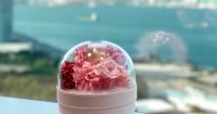 Aura-Art  乾花香薰燈工作坊 | 銅鑼灣可用