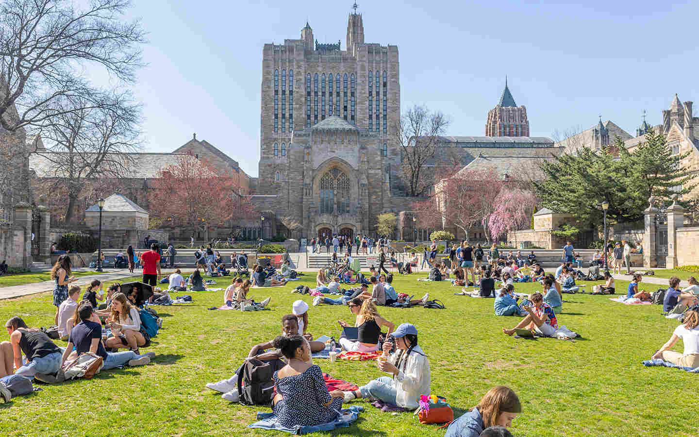 5 curiosidades que você precisa saber sobre a universidade de Yale