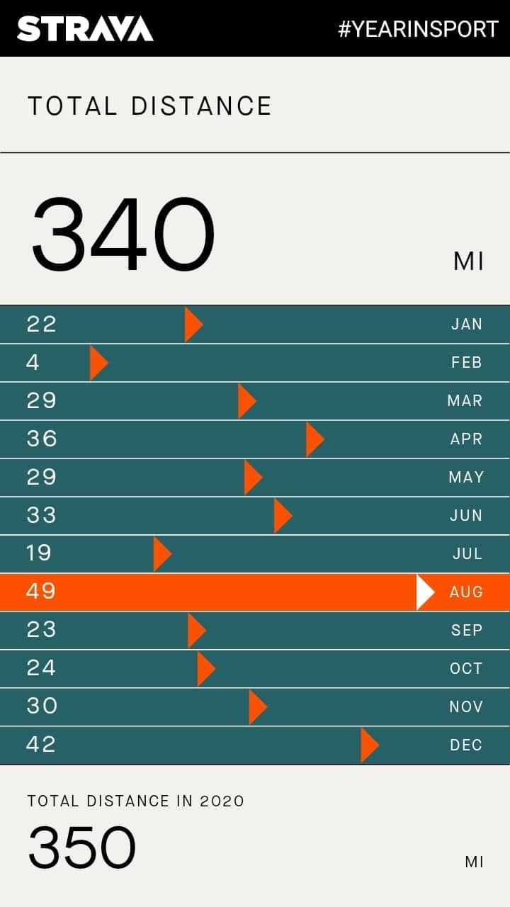 Strava stats 2021