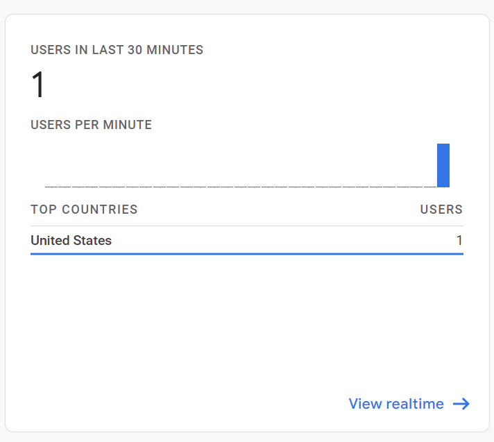 Google Analytics screenshot with a current viewer