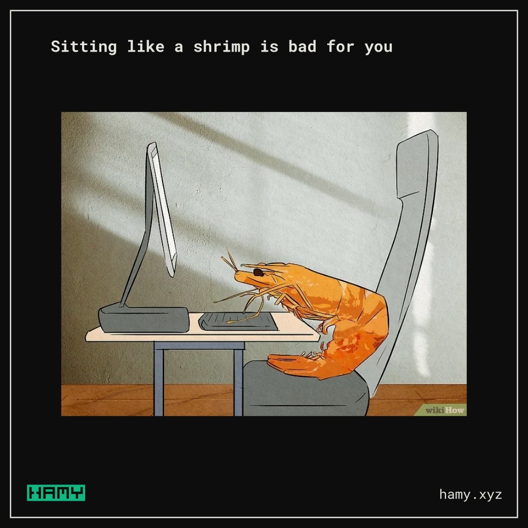 Bad ergonomics shrimp meme
