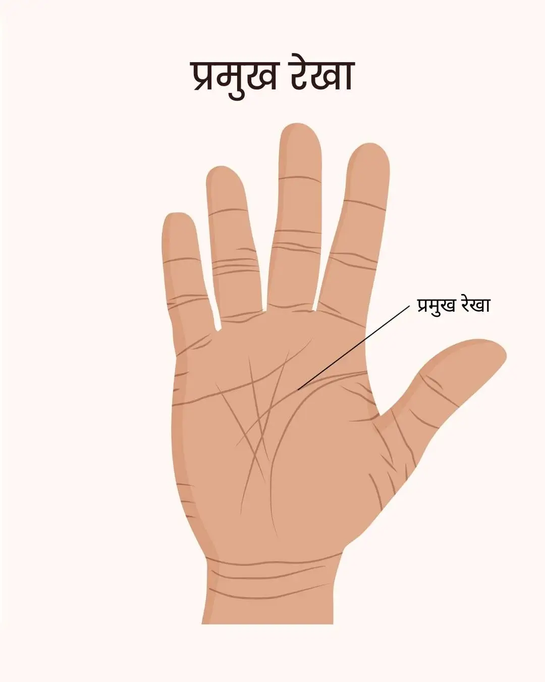 palmistry image hi