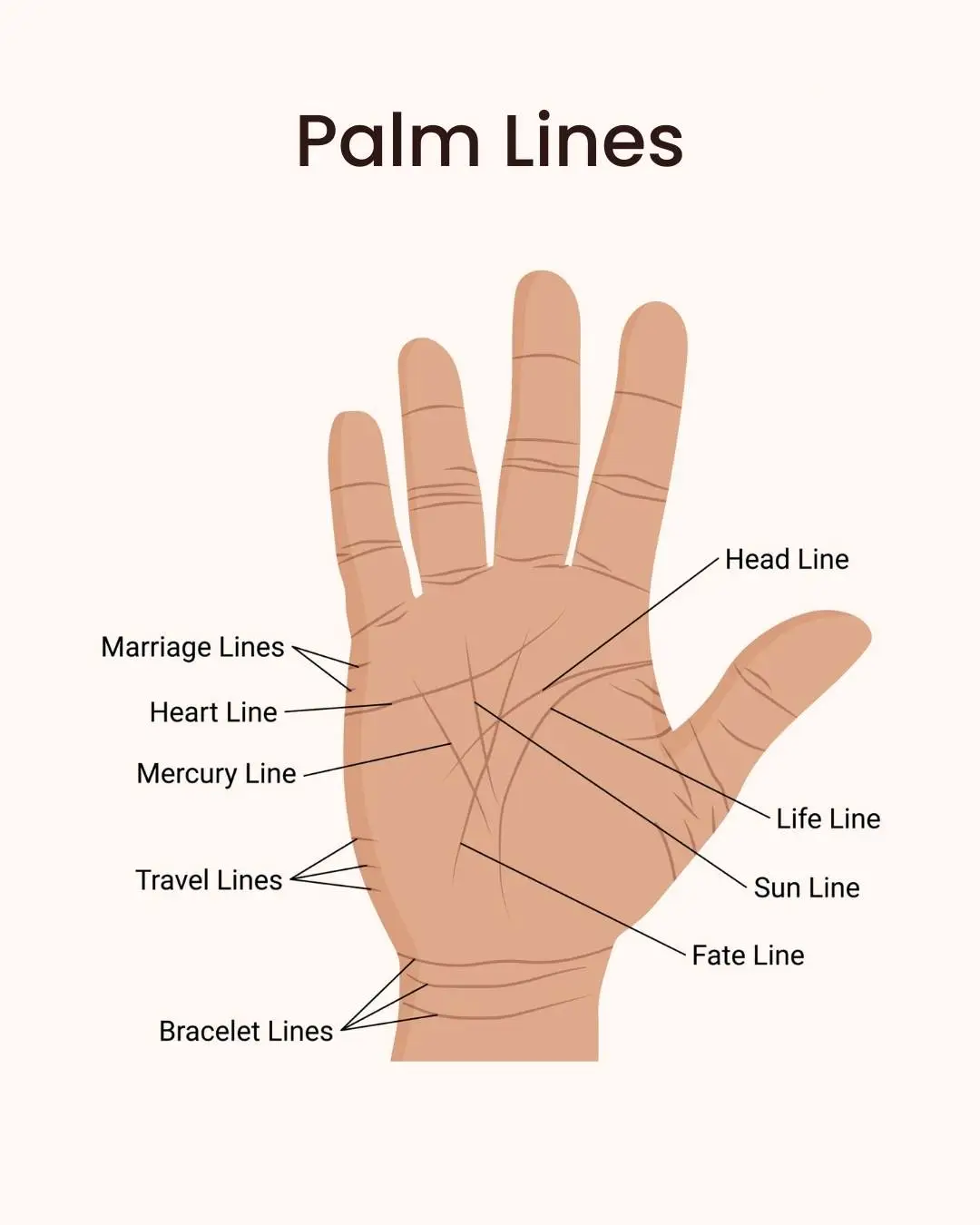palmistry image en