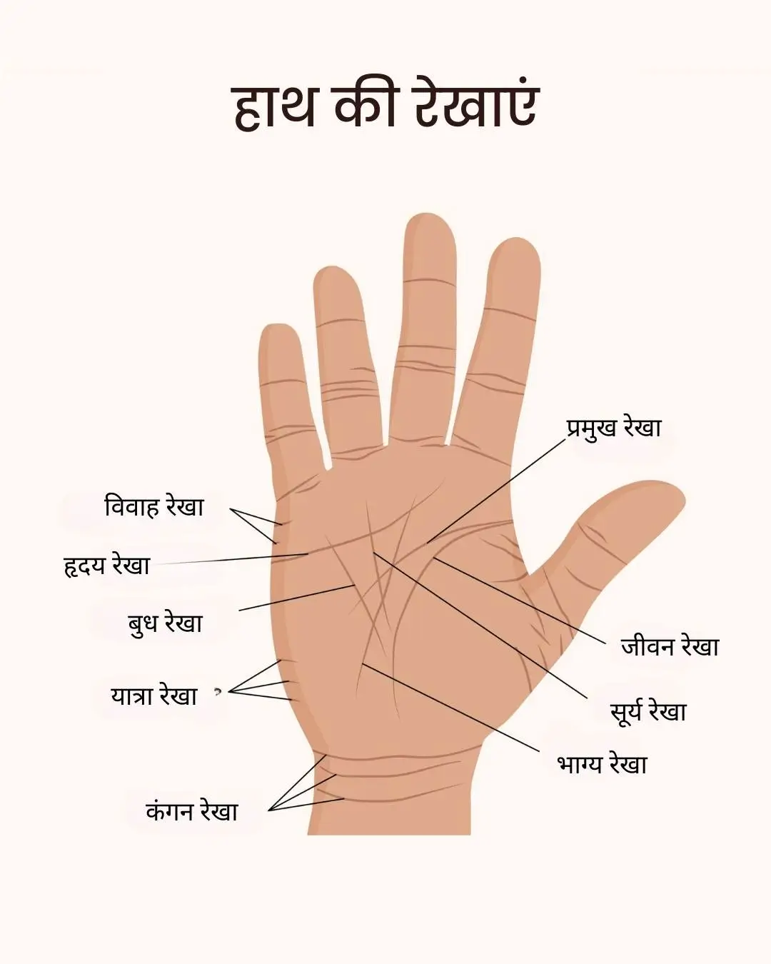 palmistry image hi