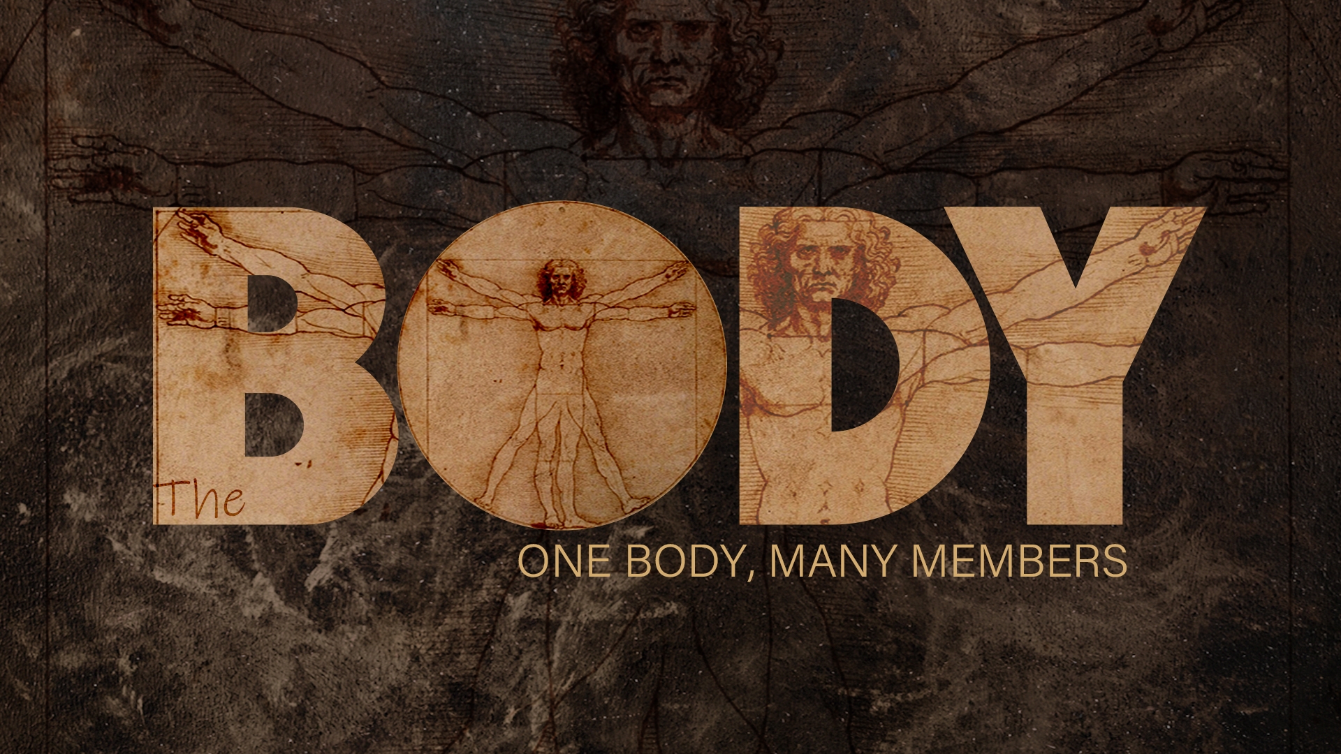 The Body: We Need Each Other
