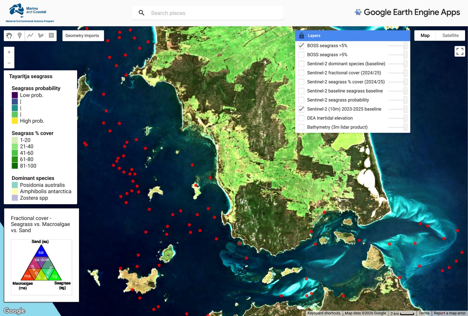Tayaritja seagrass map in the Google Earth Engine viewer
