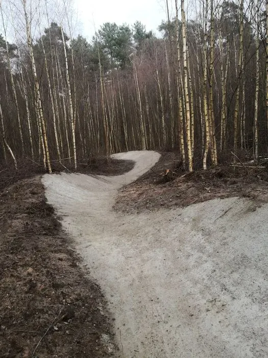 Thetford Forest Mountain Bike Trails