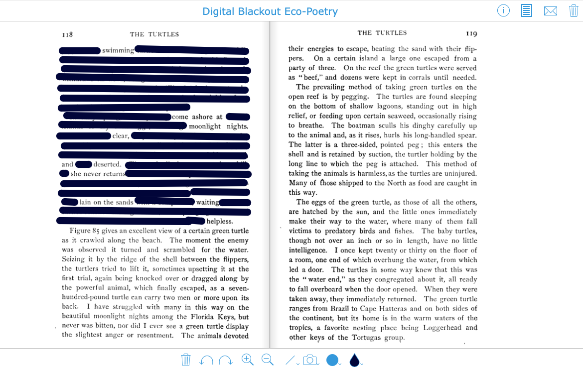 Turtles Blackout Poetry