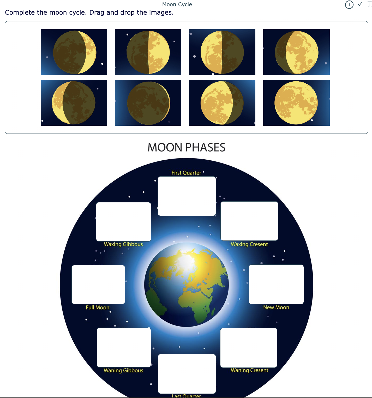 Moon cycle digital worksheet