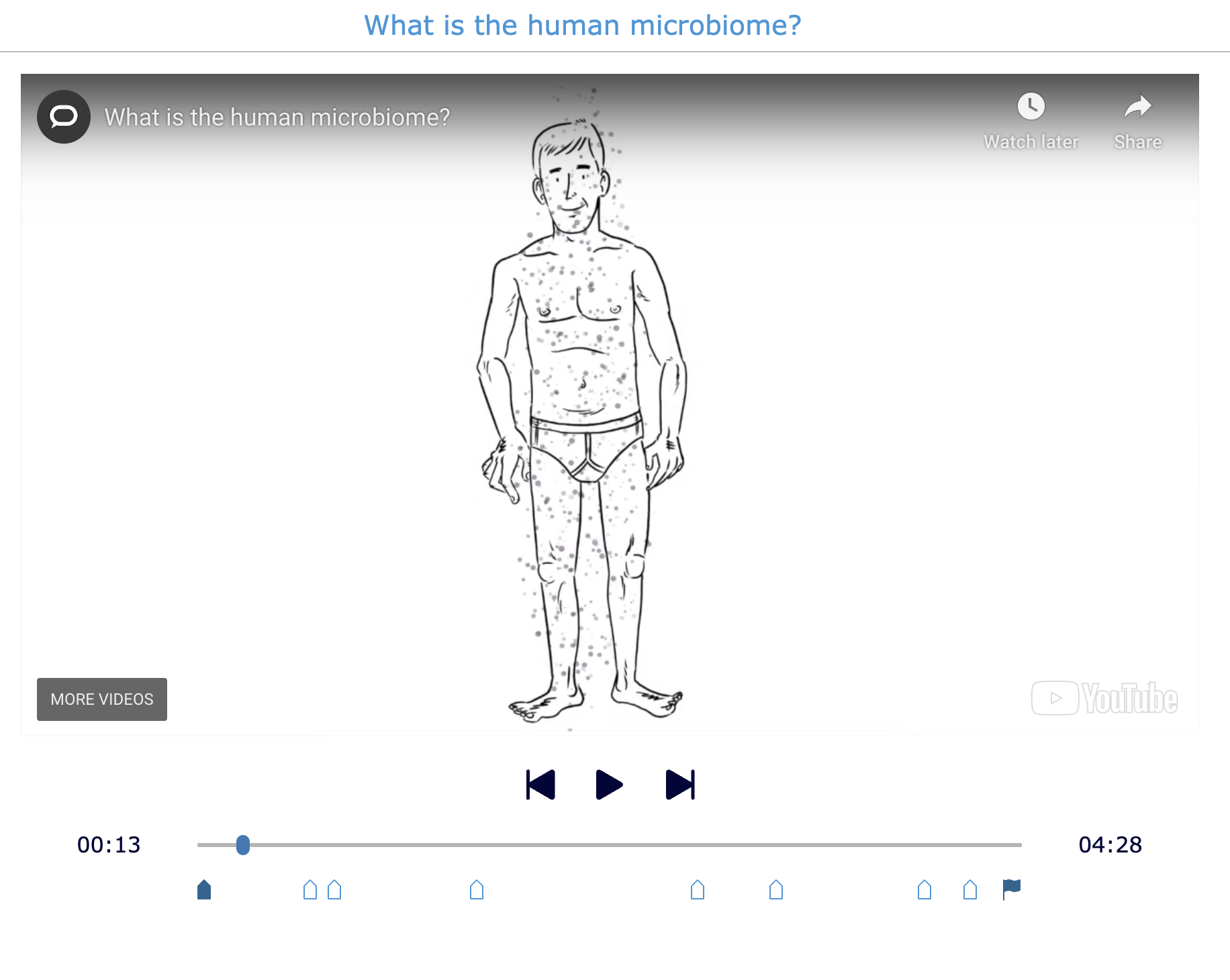 Video Quiz - Human microbiome