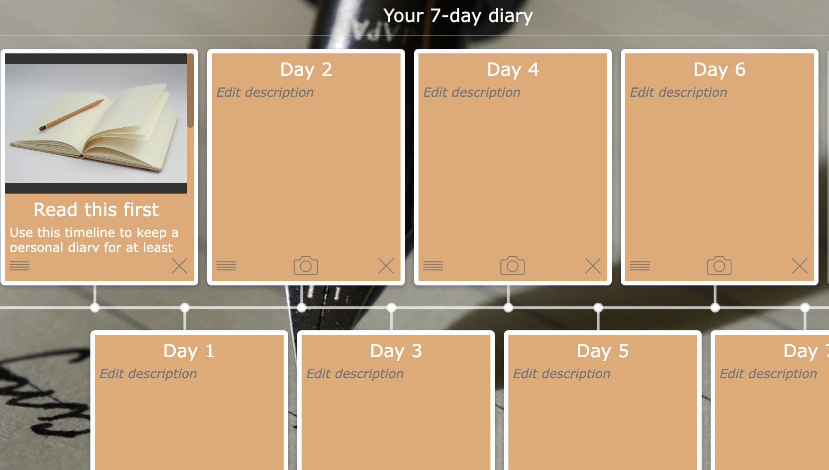 7 day Diary