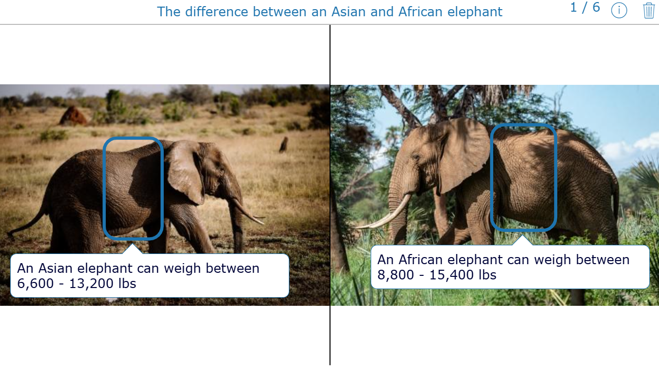Interactive Spot the Difference game