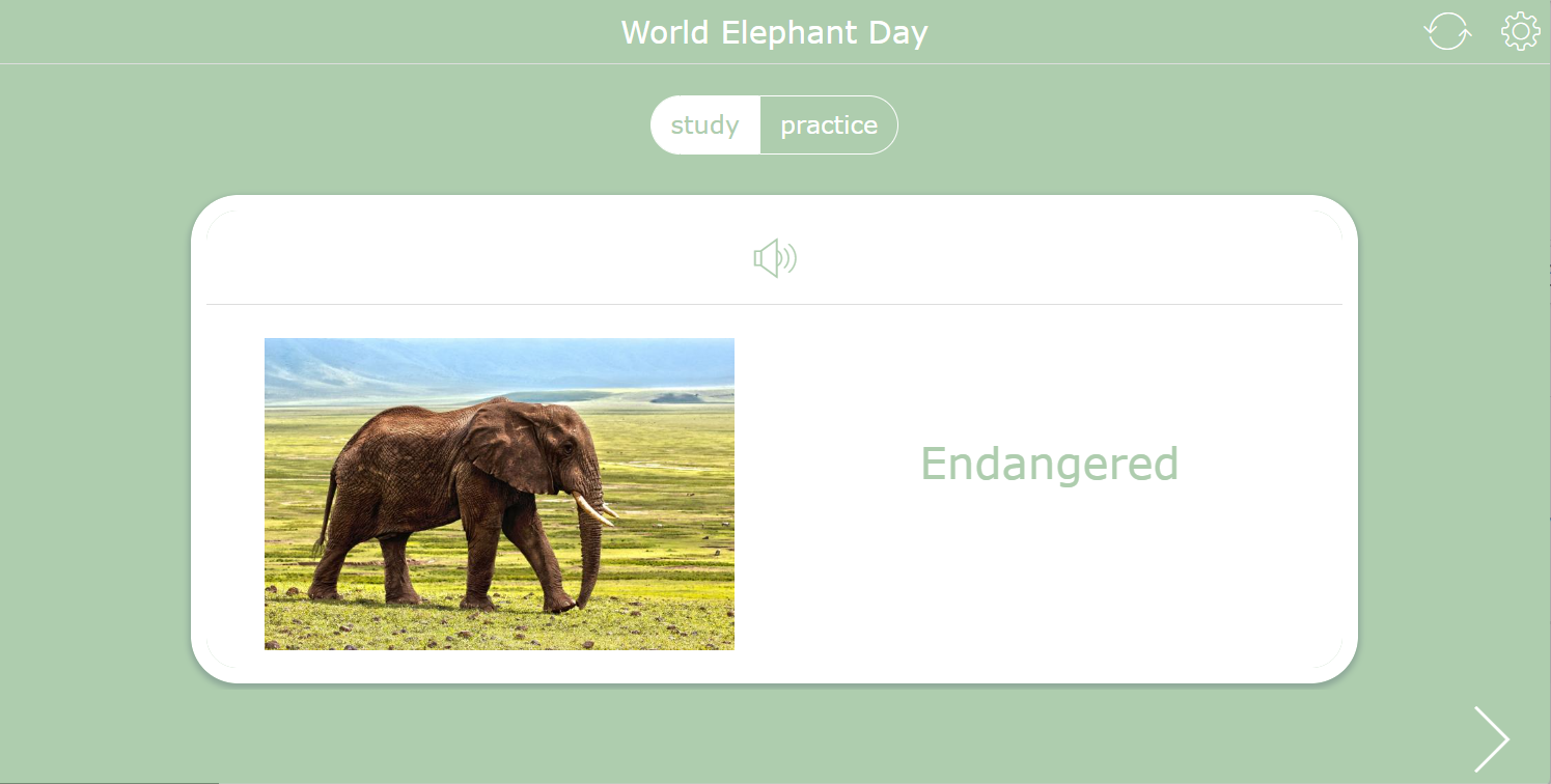 World Elephant Day