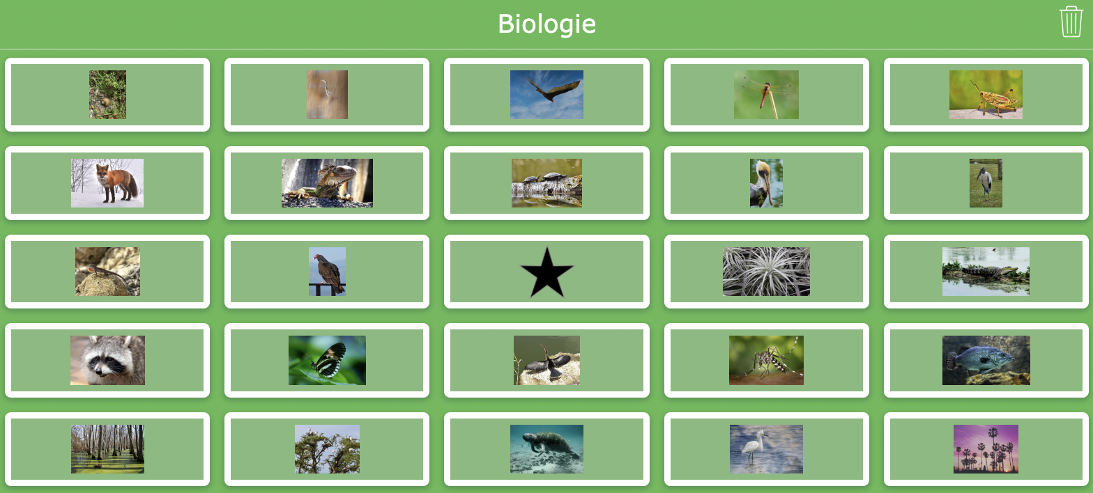 Biologie-Bingo