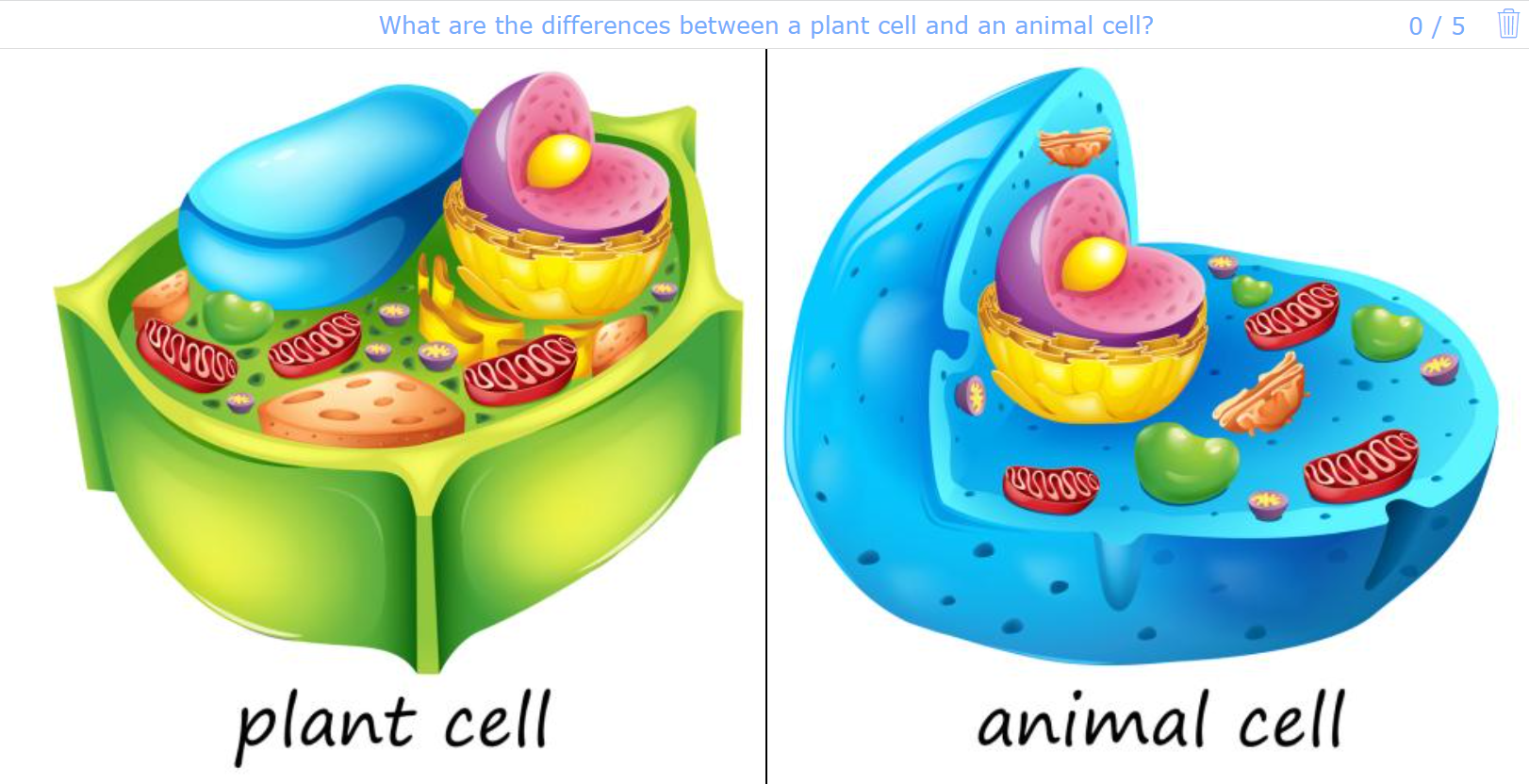 Plant cell vs Animal cell