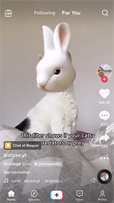 TikTok For You Page