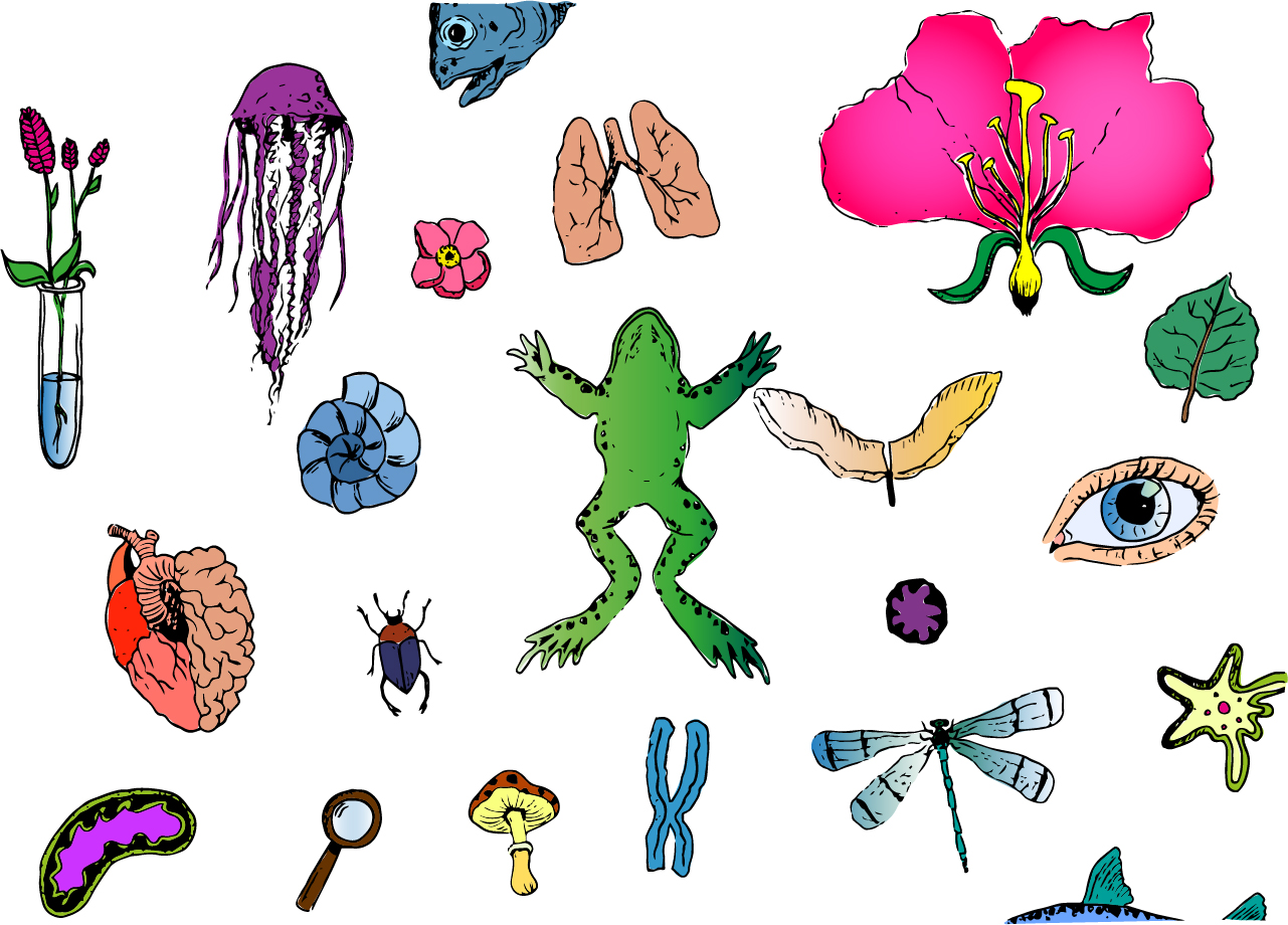 Lesson background image for biology