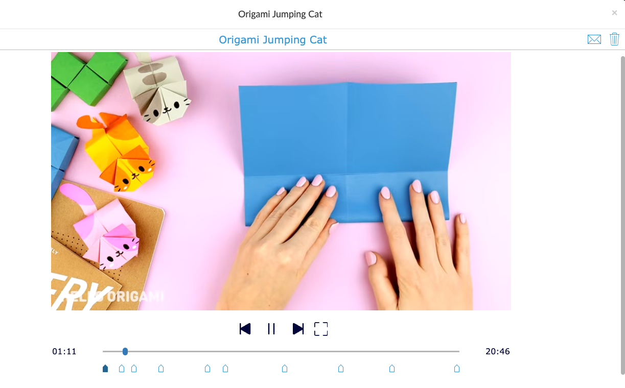 Origami Cat Video Quiz