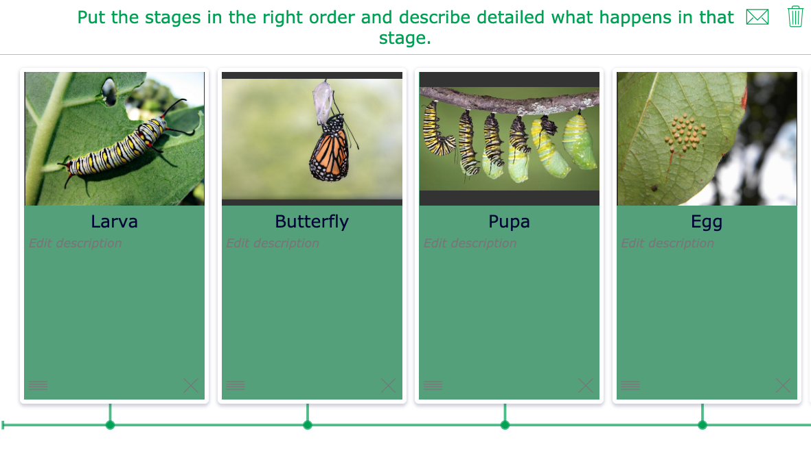 Student exercise: Timeline life cycle butterfly