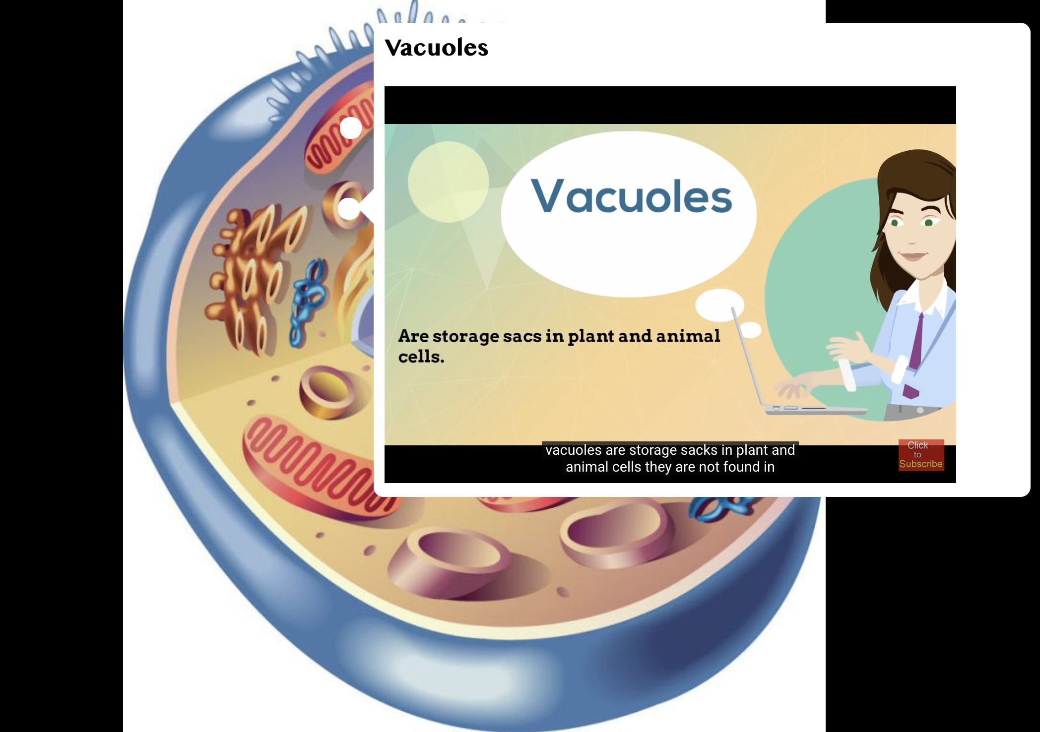 STEM interactive activity Hotspot Image biology