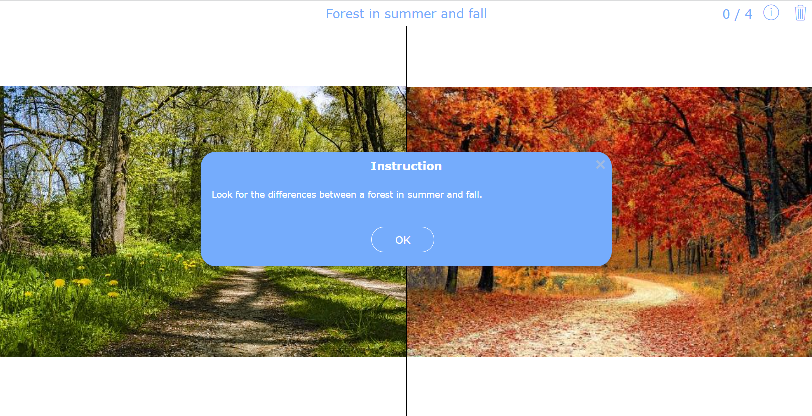 Forest in summer and fall