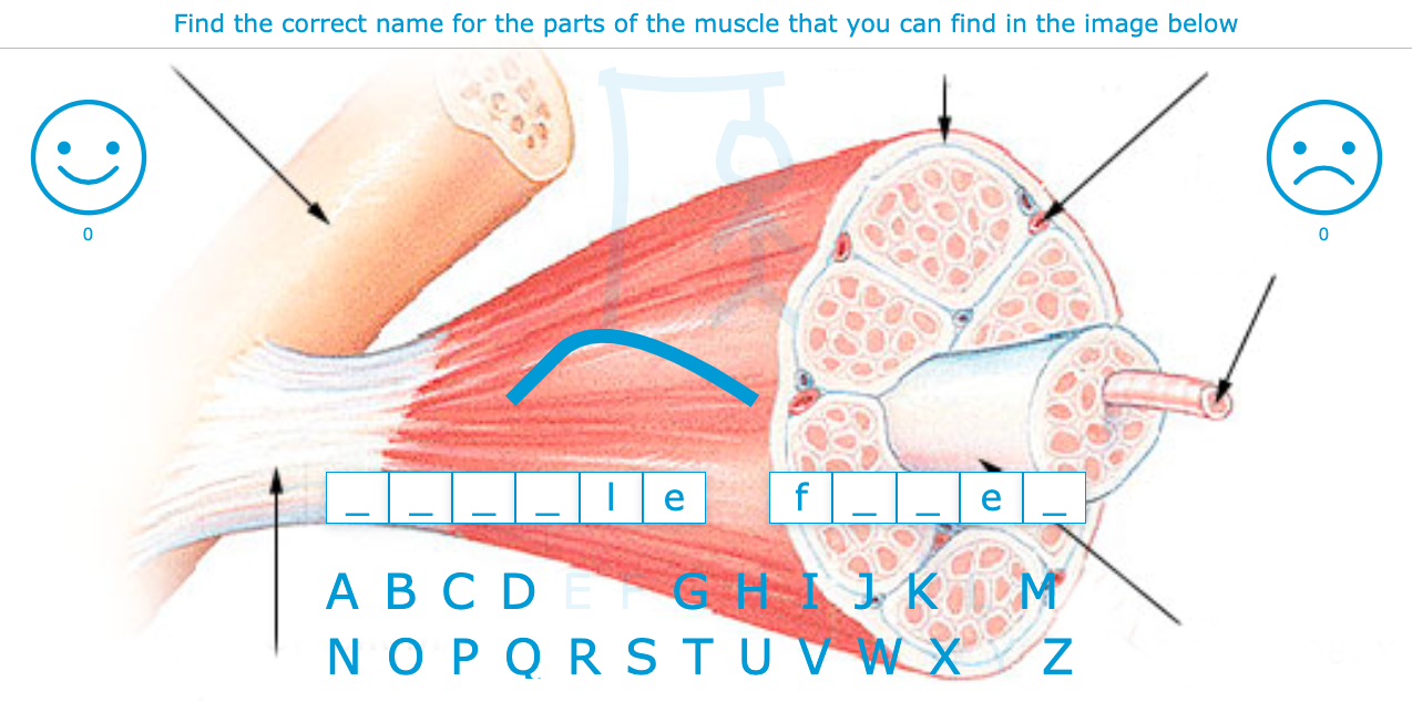 Biology hangman