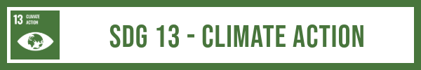 SDG 13 Climate action lesson plan