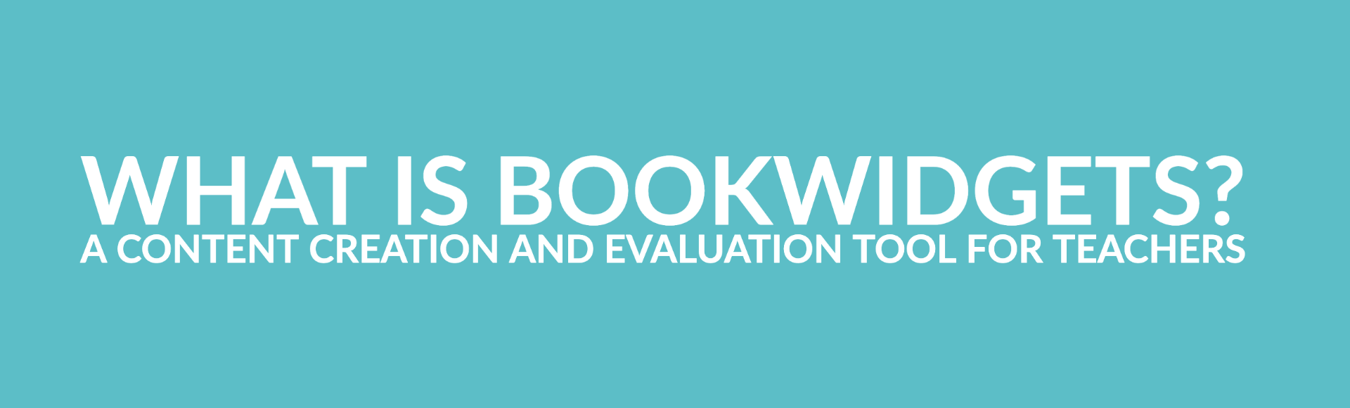 What is BookWidgets