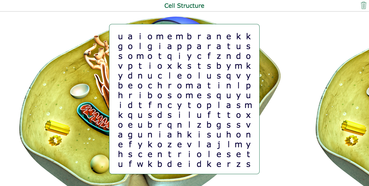 Wordsearch widget