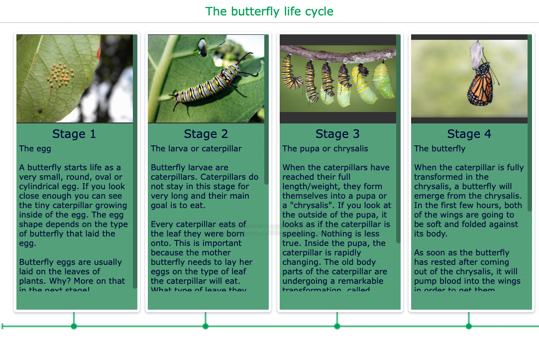 Timeline of the life cycle butterfly