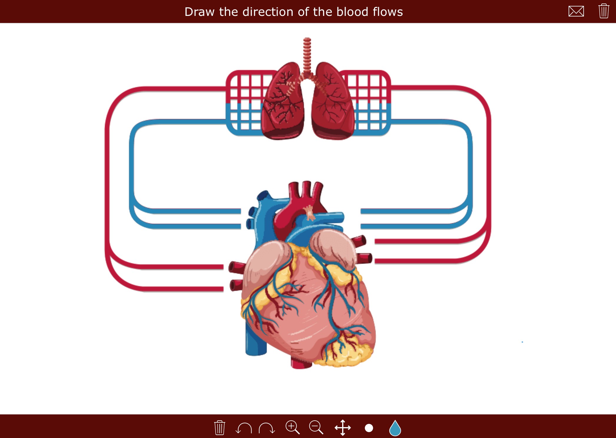 How to make biology interactive