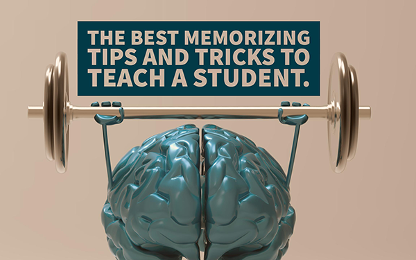 Top 5 Memorization Techniques To Improve Your Memory