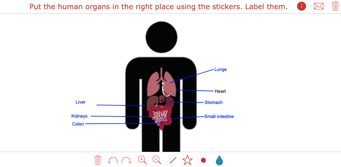 Interactive whiteboard lesson example for biology teachers with BookWidgets