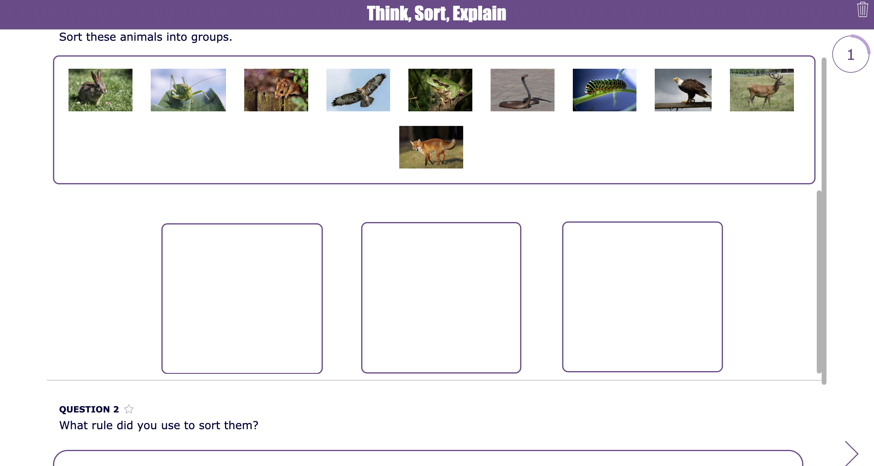 Biology sorting activity where students classify and explain information