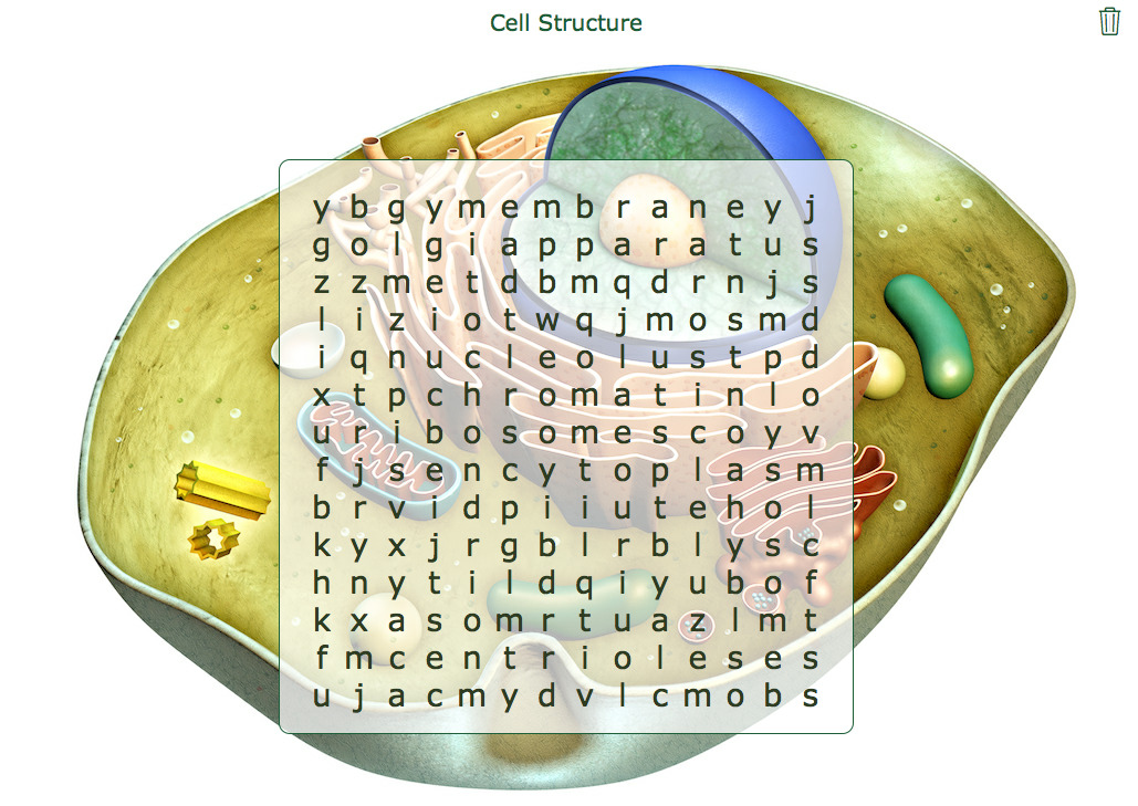 Science Word Search Puzzle - Cell Structure