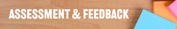 Assessment and feedback header