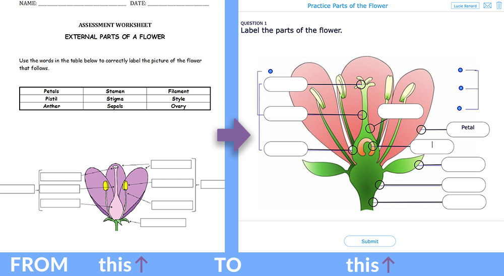 transform paper worksheets to digital