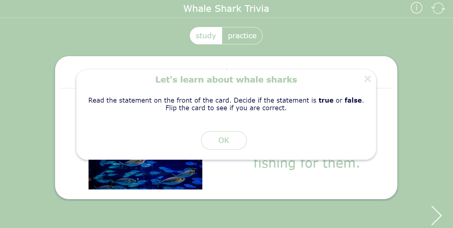 Whale Shark Trivia