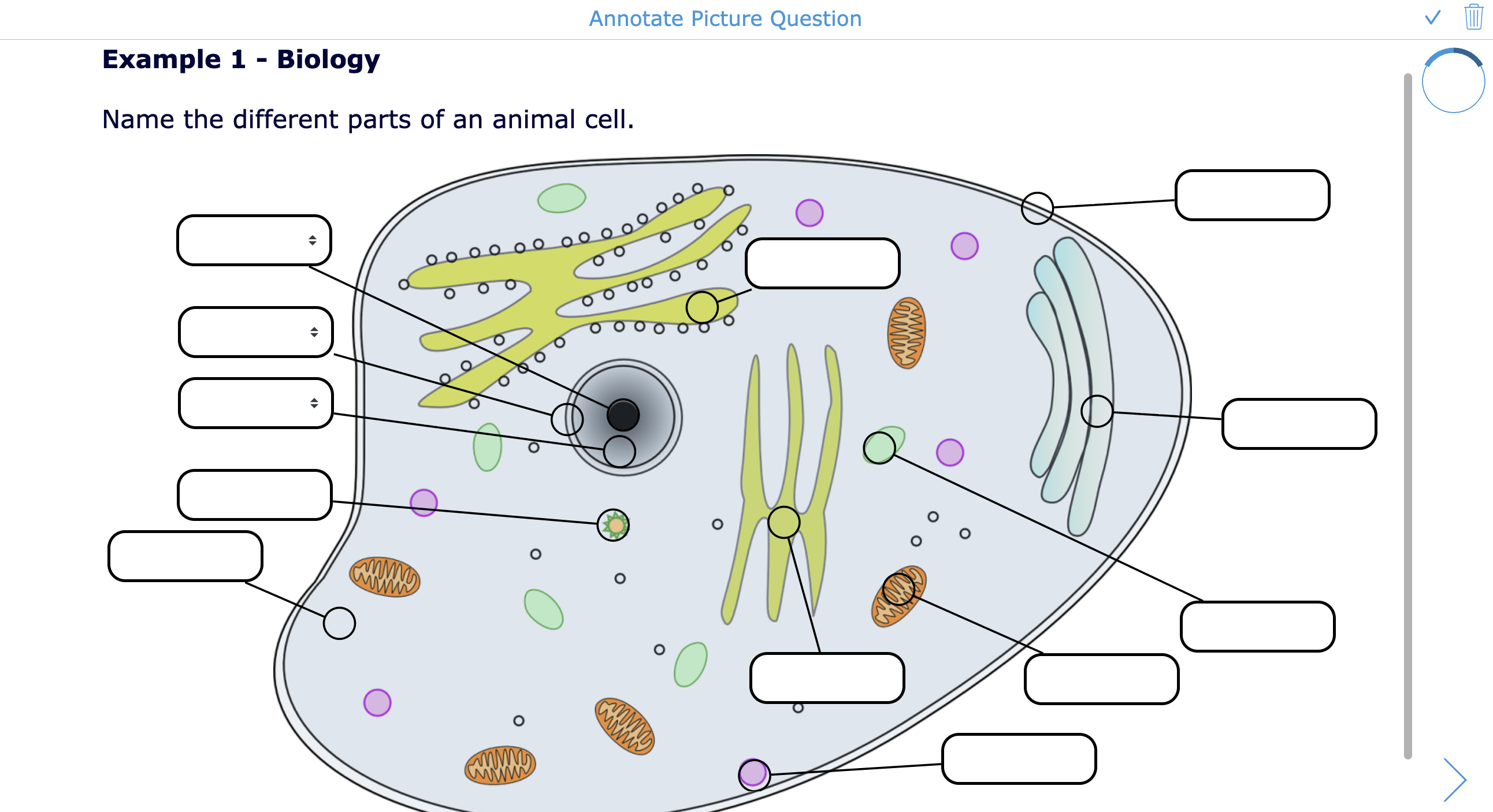 View examples of the Annotate picture question type in BookWidgets