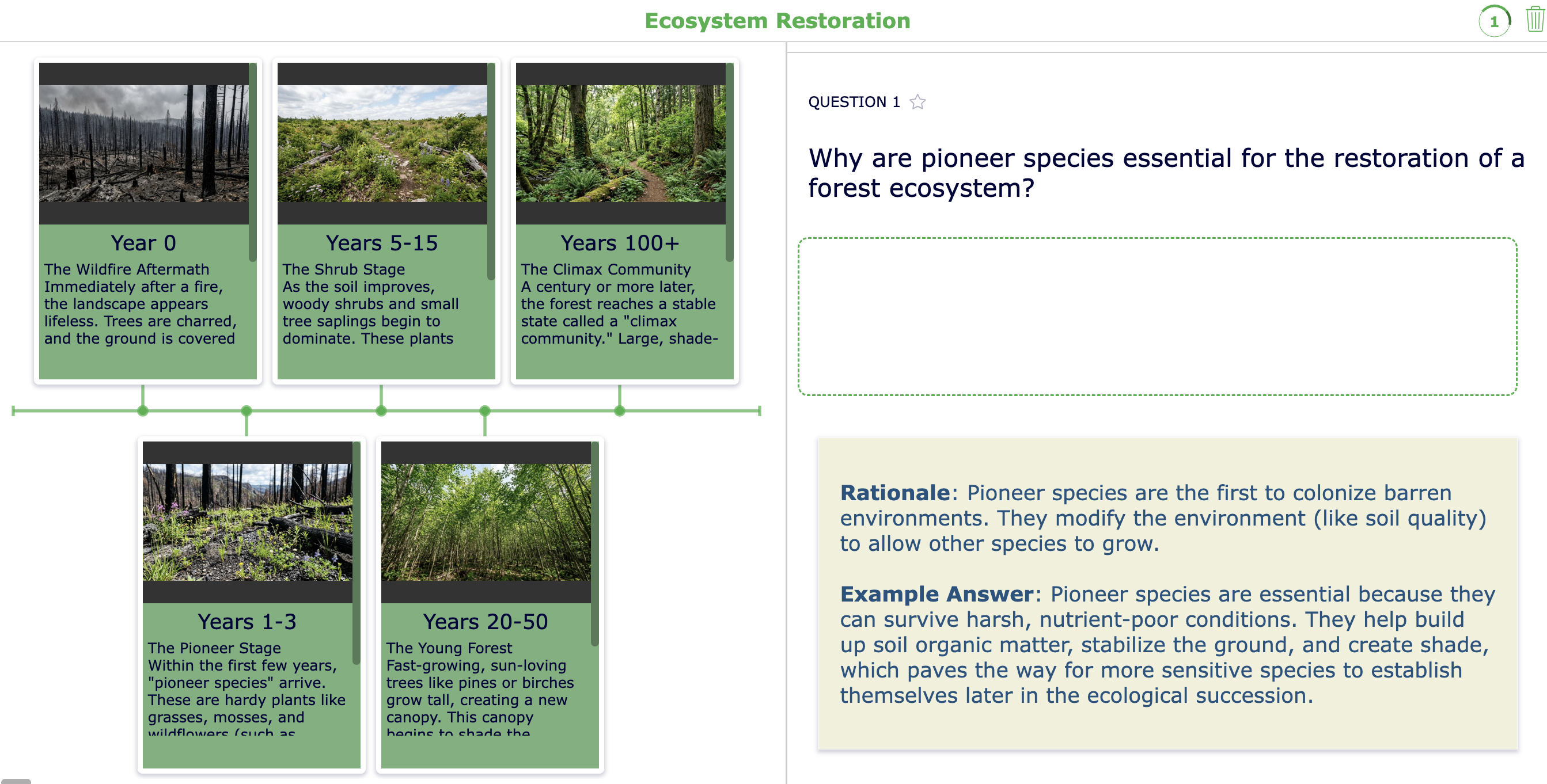 BookWidgets timeline about forest restoration after a wildfire SDG 15