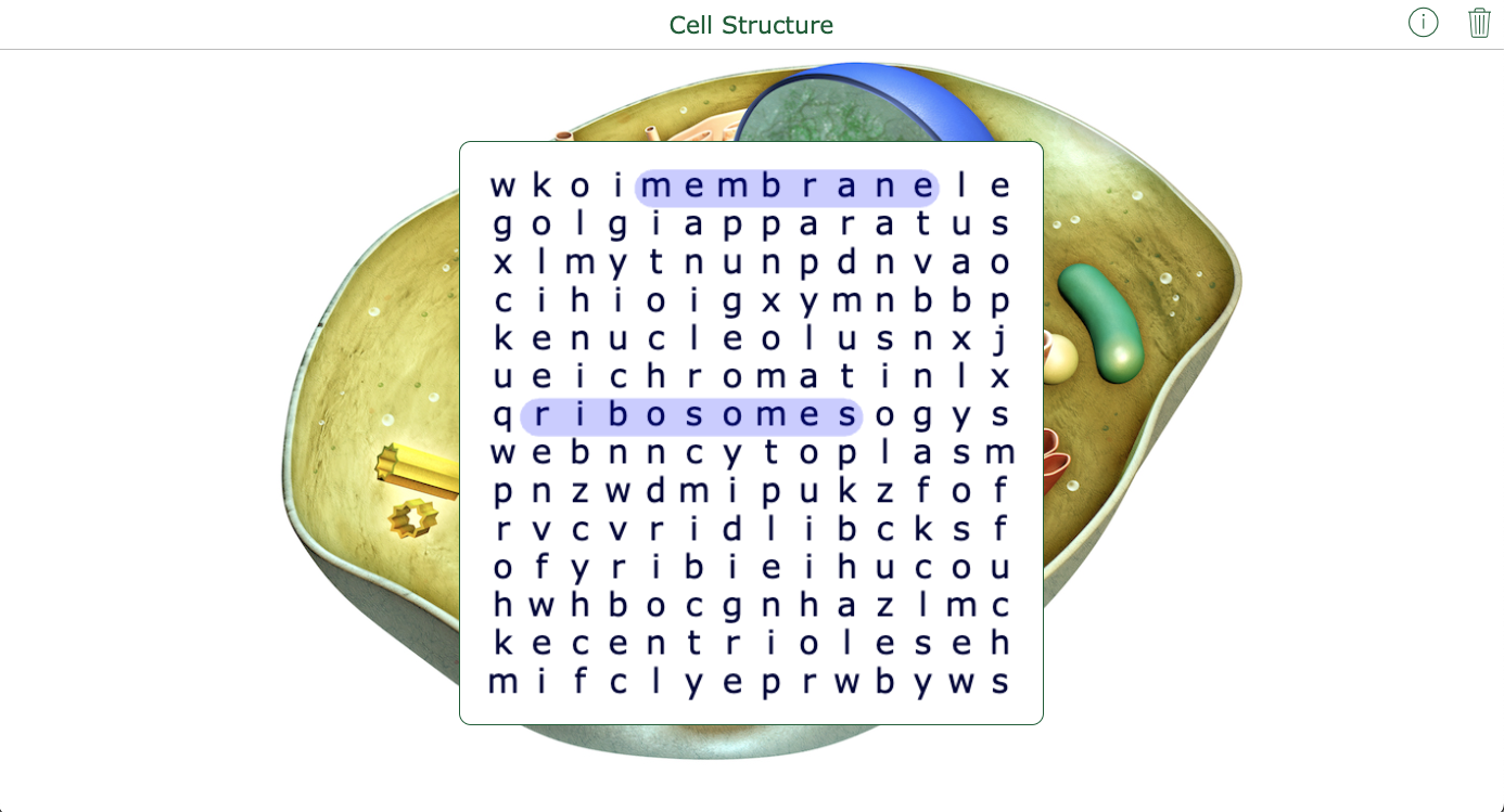 Word Search - differentiate with BookWidgets