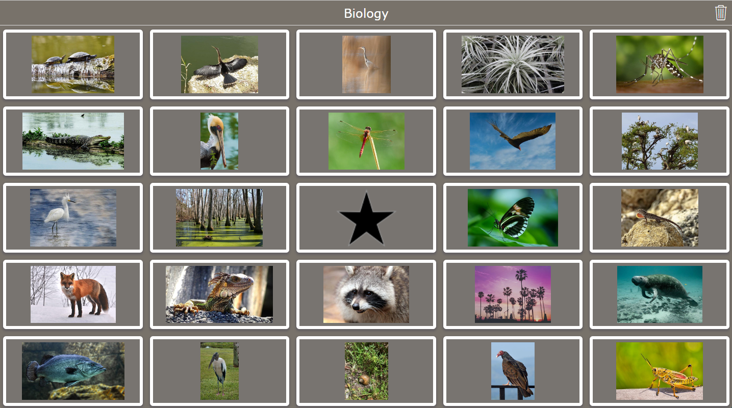 Biology Bingo