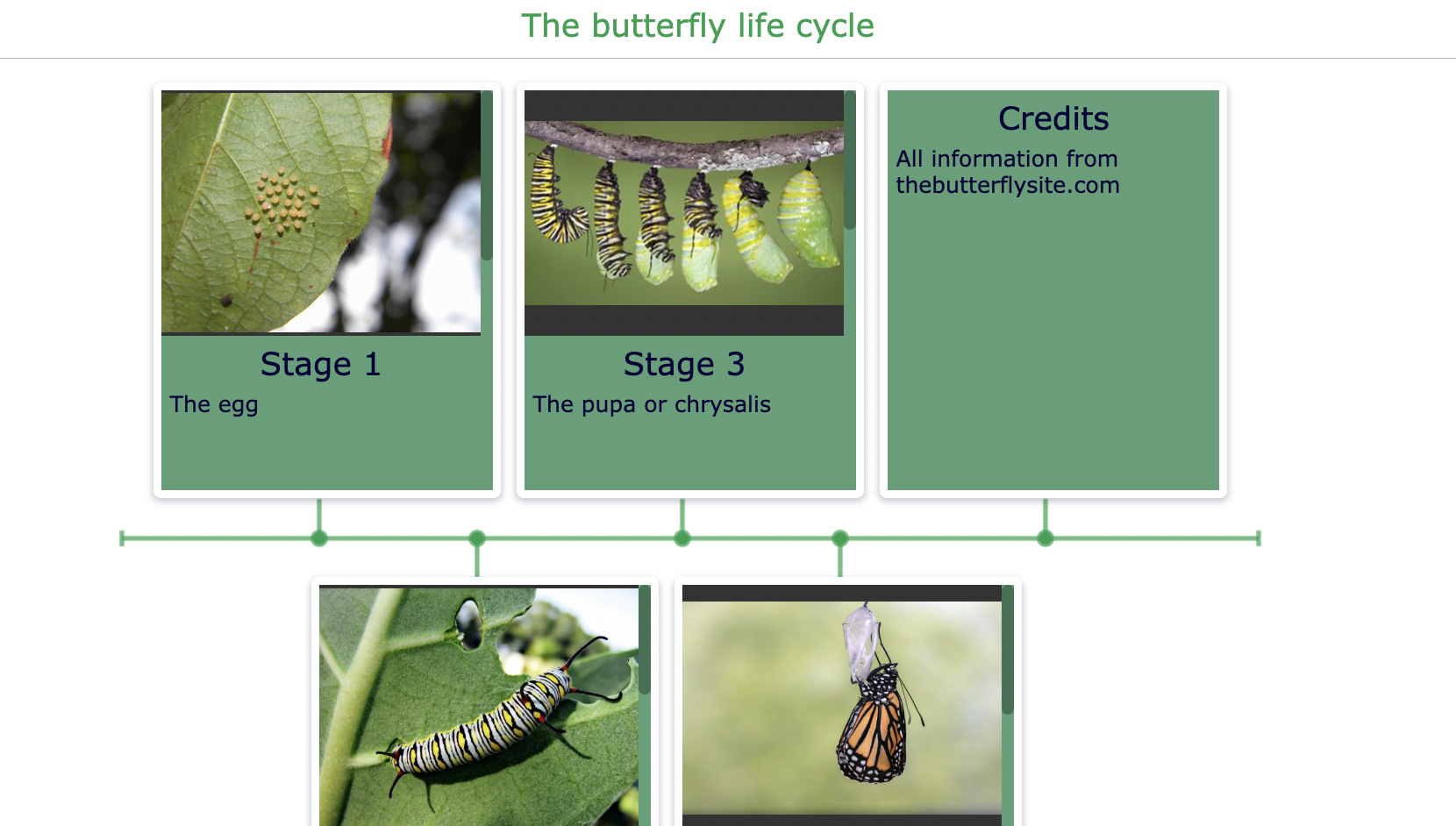 Life Cycle